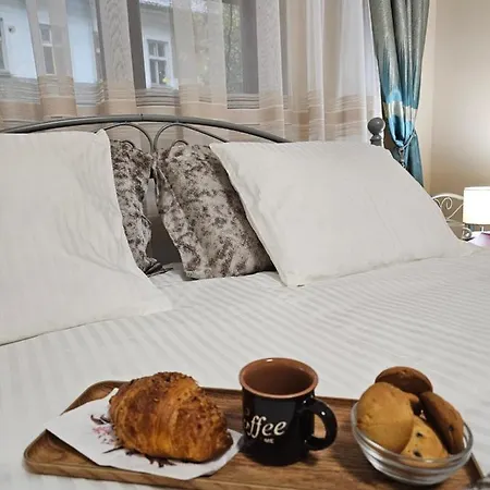 Premium Borealis * Timisoara