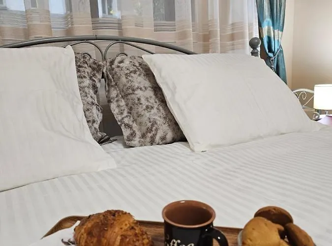 Premium Borealis * Timisoara