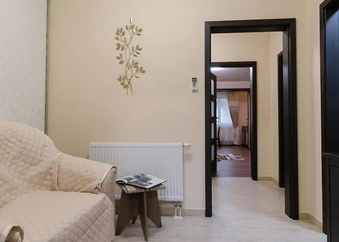 Premium Borealis * Timişoara